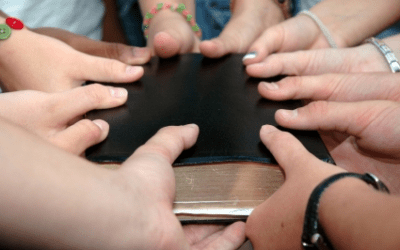 AWMpact: de Super-Bijbel-Studie voor iedereen
